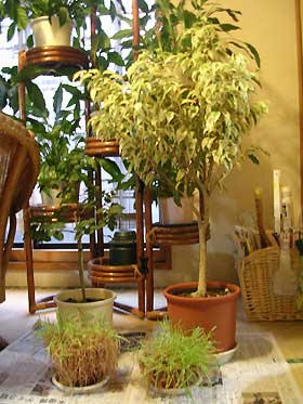 DSCN3417.jpg