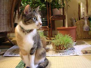 DSCN3423.jpg