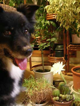 DSCN3454.jpg
