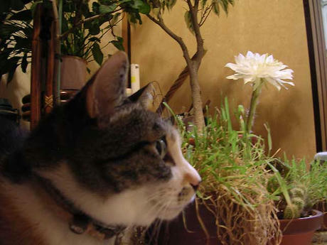 DSCN3463.jpg