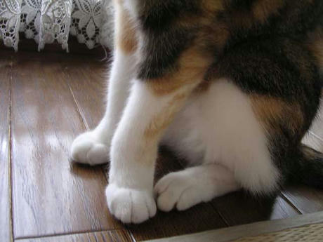 DSCN3408.jpg