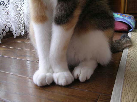DSCN3410.jpg