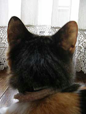 DSCN3412.jpg