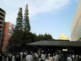 NEC_0219.jpg
