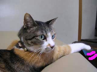 DSCN3505.jpg
