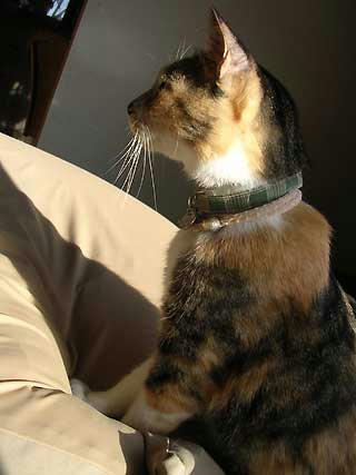 DSCN3495.jpg