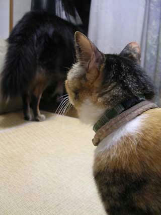 DSCN3512.jpg