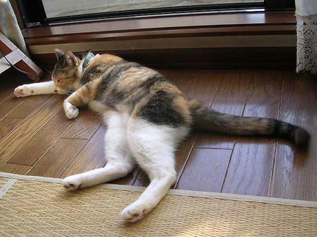 DSCN3500.jpg