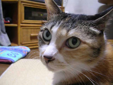DSCN3521.jpg