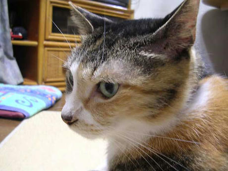 DSCN3522.jpg