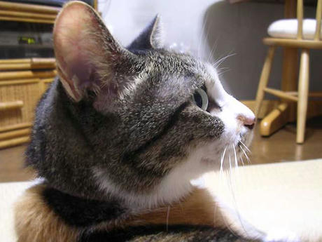 DSCN3525.jpg