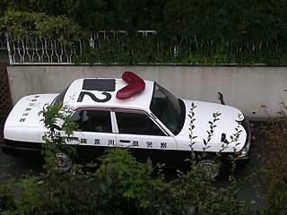 DSCN3614.jpg