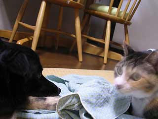 DSCN3621.jpg