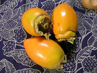 DSCN3630.jpg