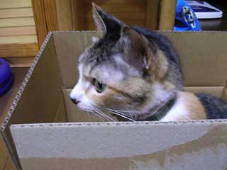 DSCN3641.jpg