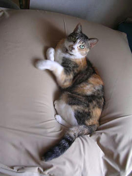 DSCN3553.jpg