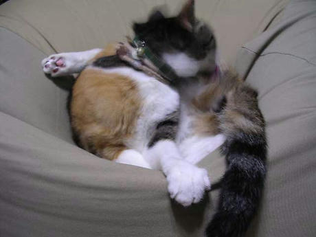 DSCN3637.jpg