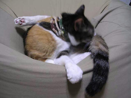 DSCN3638.jpg