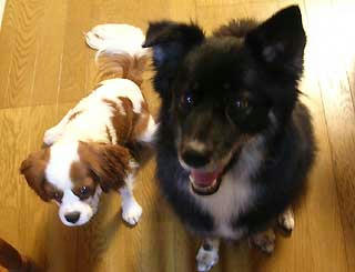 DSCN3782.jpg