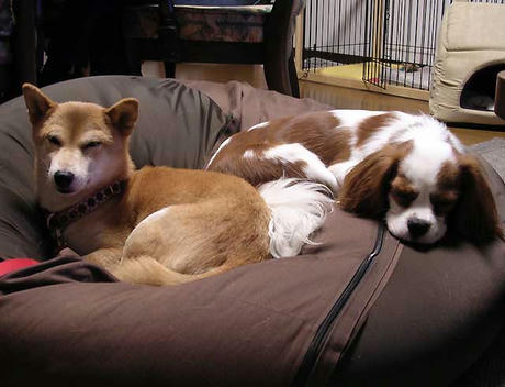 DSCN3788.jpg
