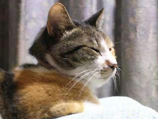 DSCN3747.jpg