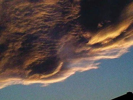NEC_0235.jpg