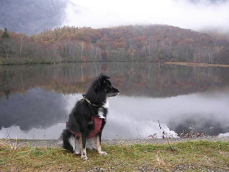 DSCN3852.jpg