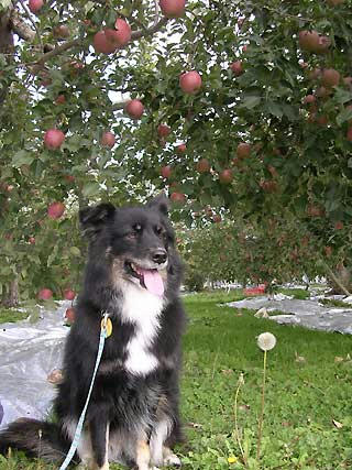 DSCN3919.jpg