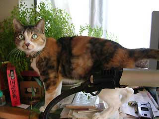 DSCN3945.jpg