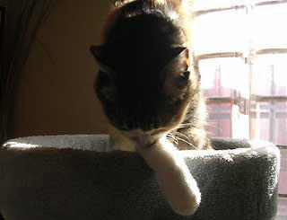DSCN3946.jpg