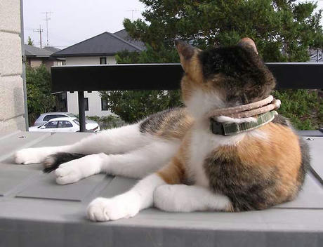 DSCN3963.jpg