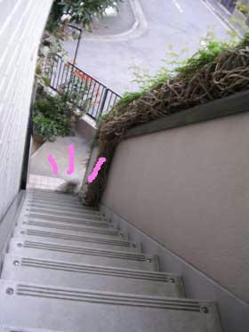 DSCN4042.jpg