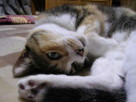 DSCN4076.jpg