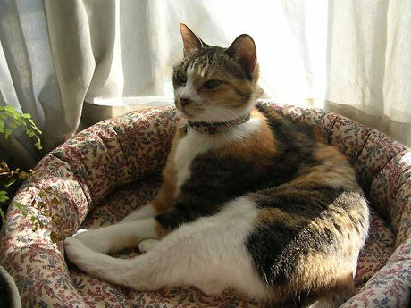 DSCN4035.jpg
