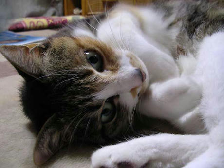 DSCN4122.jpg