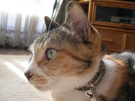 DSCN4313.jpg