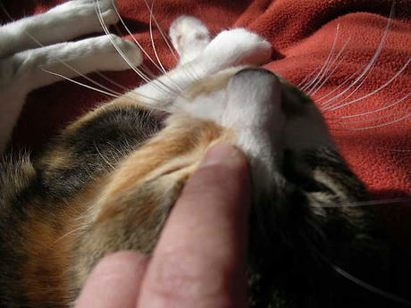 DSCN4322.jpg