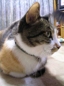 DSCN4249.jpg