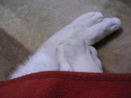 DSCN4083.jpg