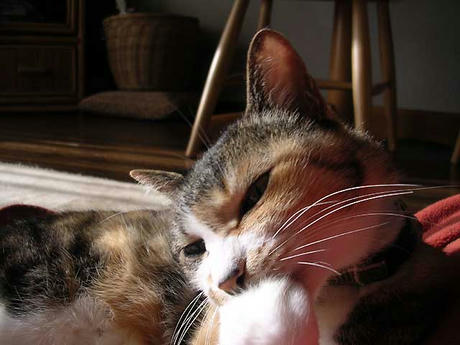 DSCN4335.jpg
