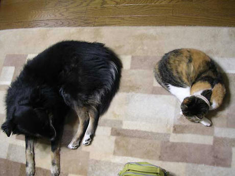 DSCN4466.jpg