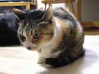 DSCN4591.jpg