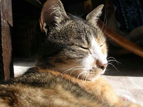 DSCN4544.jpg