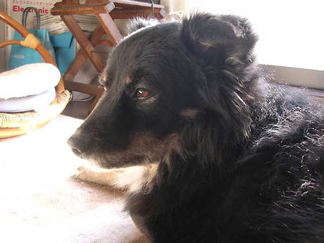 DSCN4551.jpg