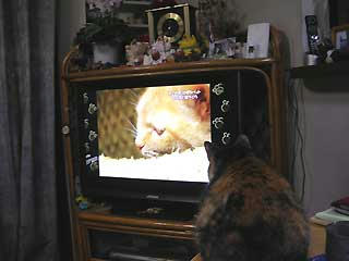 DSCN4605.jpg