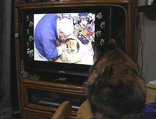 DSCN4606.jpg