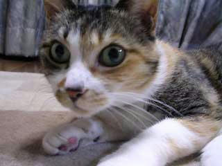 DSCN4509.jpg
