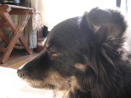 DSCN4559.jpg