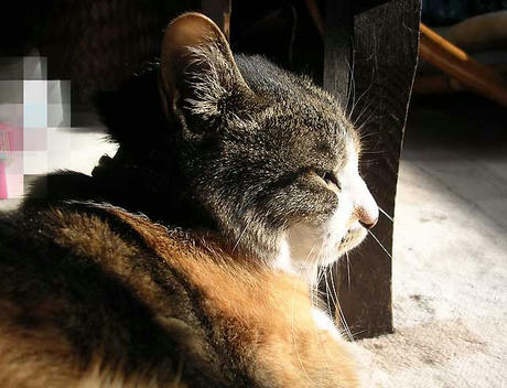 DSCN4560.jpg