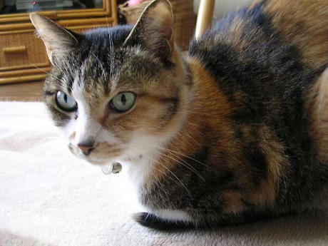 DSCN4562.jpg